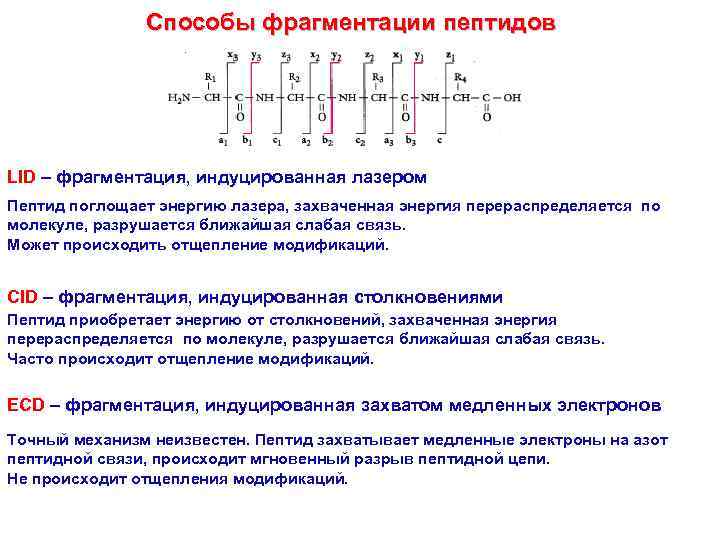 Способы фрагментации пептидов LID – фрагментация, индуцированная лазером Пептид поглощает энергию лазера, захваченная энергия