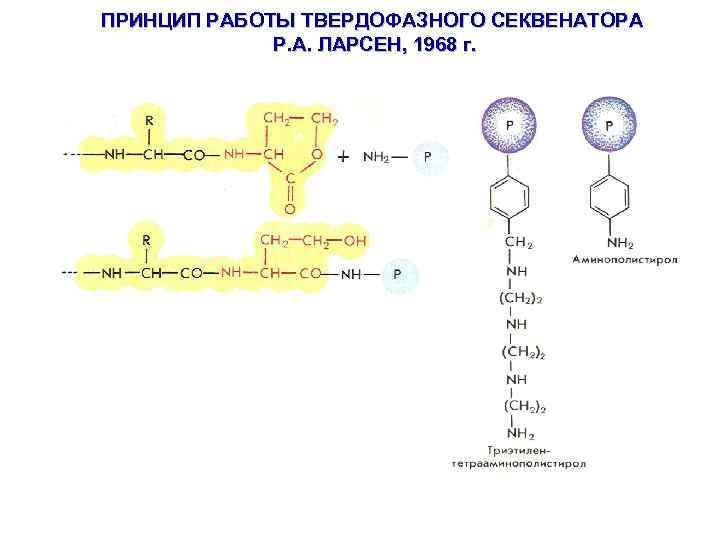 ПРИНЦИП РАБОТЫ ТВЕРДОФАЗНОГО СЕКВЕНАТОРА Р. А. ЛАРСЕН, 1968 г. 