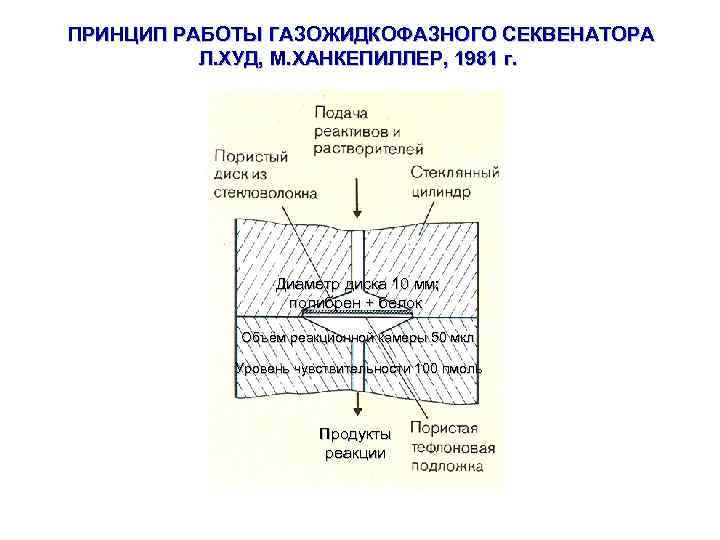 ПРИНЦИП РАБОТЫ ГАЗОЖИДКОФАЗНОГО СЕКВЕНАТОРА Л. ХУД, М. ХАНКЕПИЛЛЕР, 1981 г. Диаметр диска 10 мм;