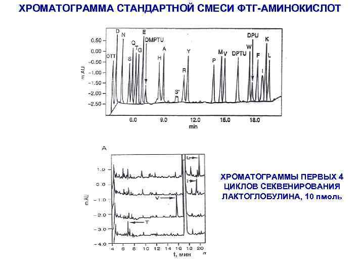 ХРОМАТОГРАММА СТАНДАРТНОЙ СМЕСИ ФТГ-АМИНОКИСЛОТ ХРОМАТОГРАММЫ ПЕРВЫХ 4 ЦИКЛОВ СЕКВЕНИРОВАНИЯ ЛАКТОГЛОБУЛИНА, 10 пмоль t, мин