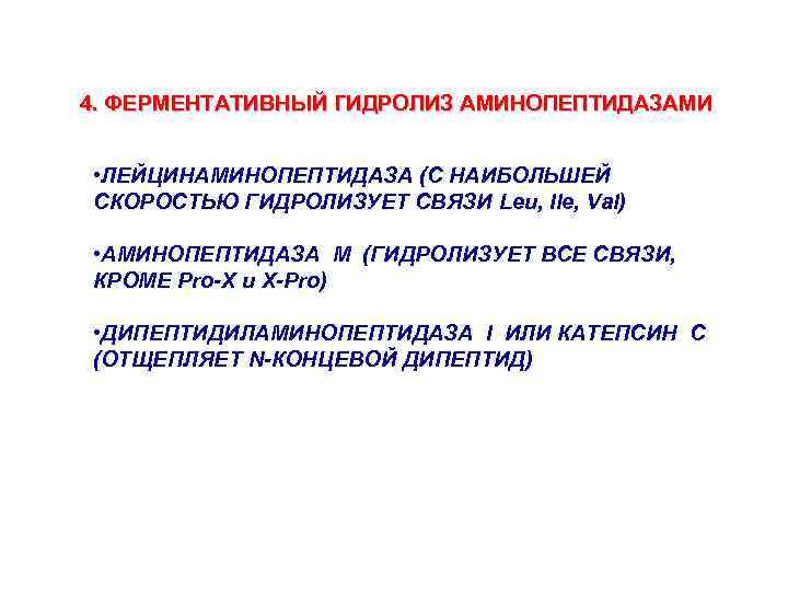 4. ФЕРМЕНТАТИВНЫЙ ГИДРОЛИЗ АМИНОПЕПТИДАЗАМИ • ЛЕЙЦИНАМИНОПЕПТИДАЗА (С НАИБОЛЬШЕЙ СКОРОСТЬЮ ГИДРОЛИЗУЕТ СВЯЗИ Leu, Ile, Val)