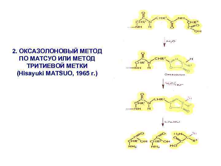 2. ОКСАЗОЛОНОВЫЙ МЕТОД ПО МАТСУО ИЛИ МЕТОД ТРИТИЕВОЙ МЕТКИ (Hisayuki MATSUO, 1965 г. )