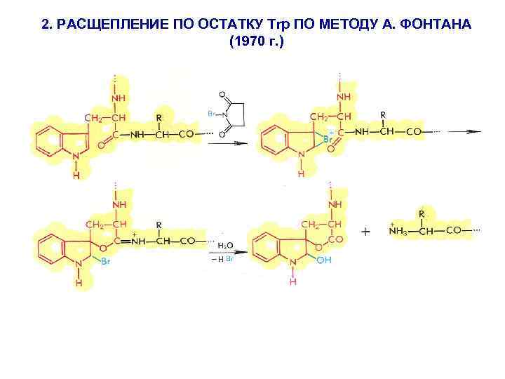 2. РАСЩЕПЛЕНИЕ ПО ОСТАТКУ Trp ПО МЕТОДУ А. ФОНТАНА (1970 г. ) 