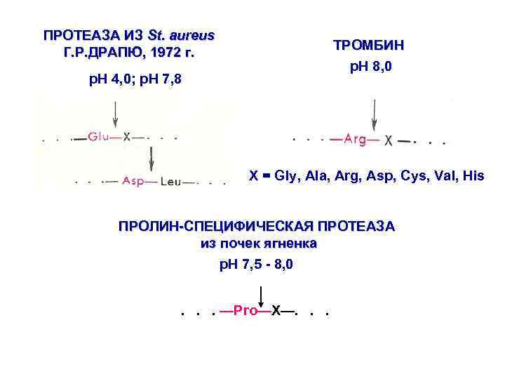 ПРОТЕАЗА ИЗ St. aureus Г. Р. ДРАПЮ, 1972 г. ТРОМБИН p. H 8, 0