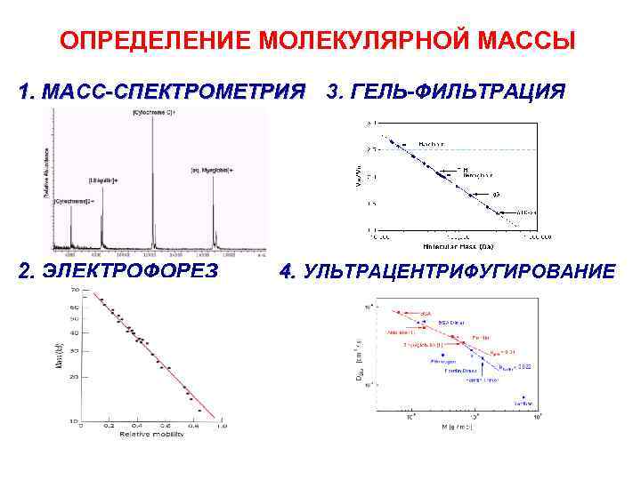 ОПРЕДЕЛЕНИЕ МОЛЕКУЛЯРНОЙ МАССЫ 1. МАСС-СПЕКТРОМЕТРИЯ 3. ГЕЛЬ-ФИЛЬТРАЦИЯ 2. ЭЛЕКТРОФОРЕЗ 4. УЛЬТРАЦЕНТРИФУГИРОВАНИЕ 