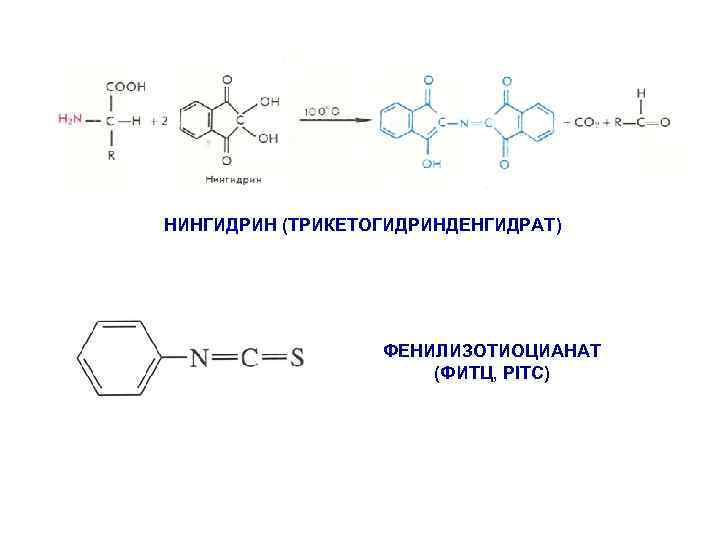 НИНГИДРИН (ТРИКЕТОГИДРИНДЕНГИДРАТ) ФЕНИЛИЗОТИОЦИАНАТ (ФИТЦ, PITC) 