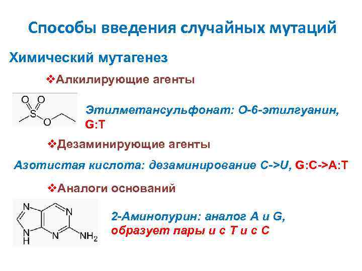 Способы введения случайных мутаций Химический мутагенез v. Алкилирующие агенты Этилметансульфонат: O-6 -этилгуанин, G: T