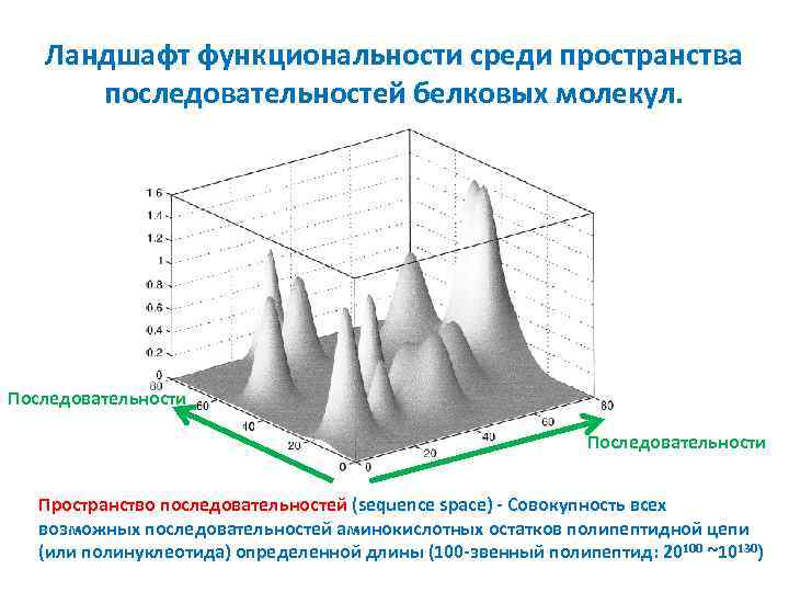 Ландшафт функциональности среди пространства последовательностей белковых молекул. Последовательности Пространство последовательностей (sequence space) - Совокупность