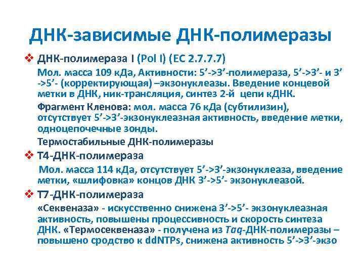 ДНК-зависимые ДНК-полимеразы v ДНК-полимераза I (Pol I) (EC 2. 7. 7. 7) Мол. масса