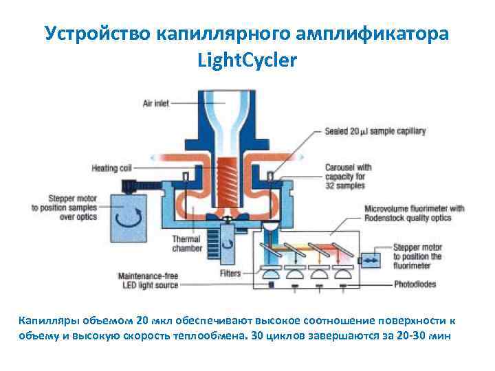 Устройство капиллярного амплификатора Light. Cycler Капилляры объемом 20 мкл обеспечивают высокое соотношение поверхности к