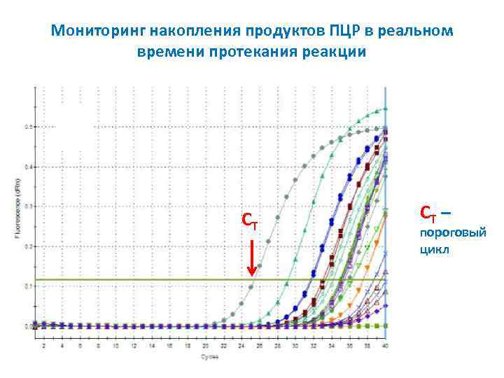 Мониторинг накопления продуктов ПЦР в реальном времени протекания реакции СT СT – пороговый цикл