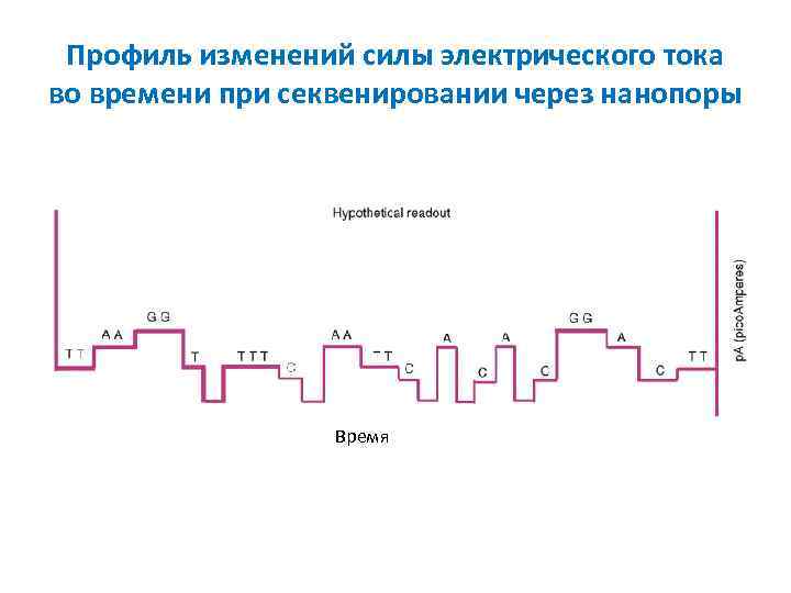 Профиль изменений силы электрического тока во времени при секвенировании через нанопоры Время 