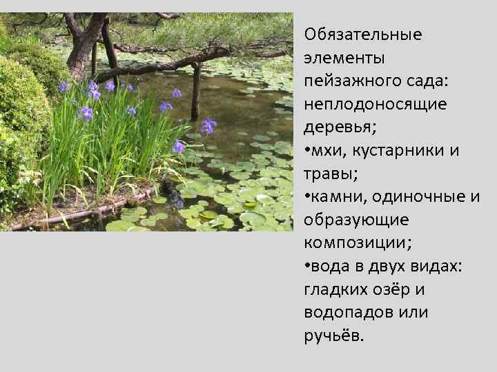 Обязательные элементы пейзажного сада: неплодоносящие деревья; • мхи, кустарники и травы; • камни, одиночные