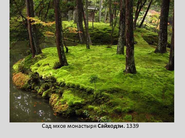 Сад мхов монастыря Сайходзи. 1339 