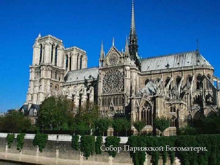Собор Парижской Богоматери. 