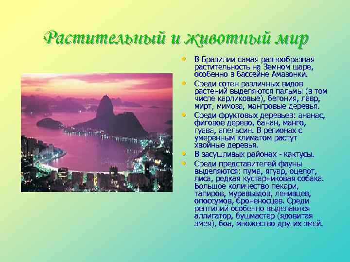 Растительный и животный мир • В Бразилии самая разнообразная • • растительность на Земном