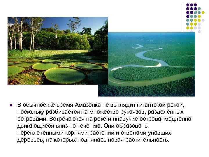 l В обычное же время Амазонка не выглядит гигантской рекой, поскольку разбивается на множество