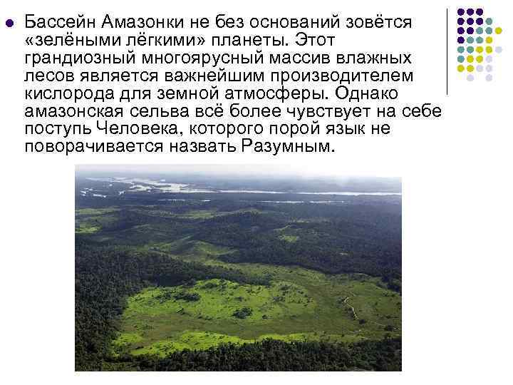 l Бассейн Амазонки не без оснований зовётся «зелёными лёгкими» планеты. Этот грандиозный многоярусный массив
