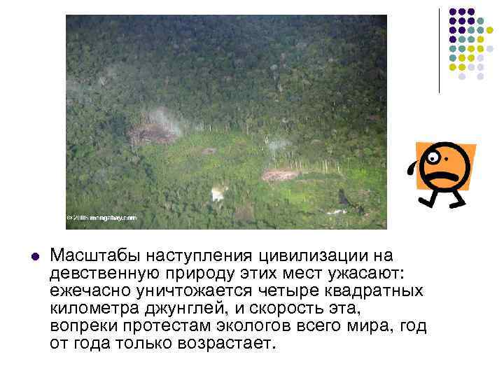 l Масштабы наступления цивилизации на девственную природу этих мест ужасают: ежечасно уничтожается четыре квадратных