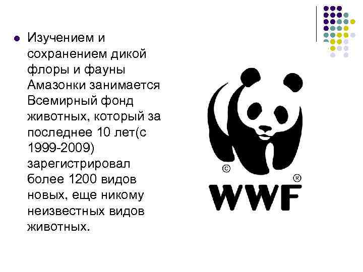 l Изучением и сохранением дикой флоры и фауны Амазонки занимается Всемирный фонд животных, который