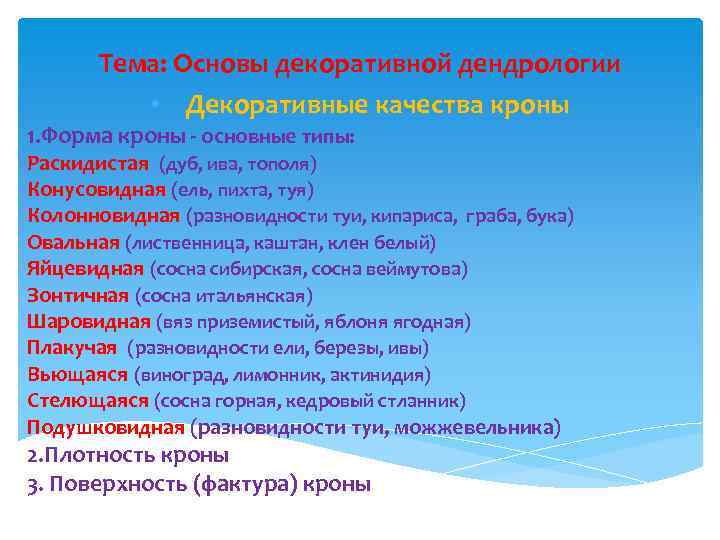 Тема: Основы декоративной дендрологии • Декоративные качества кроны 1. Форма кроны - основные типы: