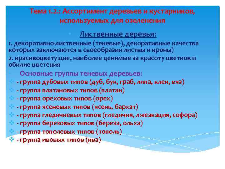 Тема 1. 2. : Ассортимент деревьев и кустарников, используемых для озеленения • Лиственные деревья: