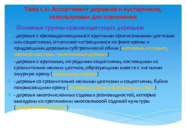 Тема 1. 2. : Ассортимент деревьев и кустарников, используемых для озеленения • Основные группы