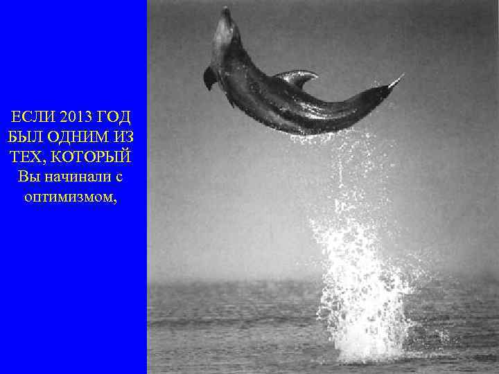 ЕСЛИ 2013 ГОД БЫЛ ОДНИМ ИЗ ТЕХ, КОТОРЫЙ Вы начинали с оптимизмом, 
