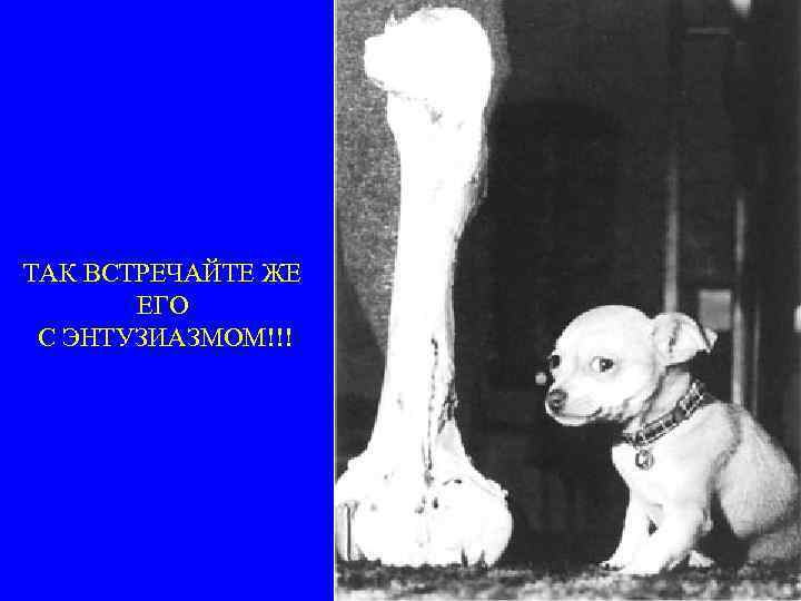 ТАК ВСТРЕЧАЙТЕ ЖЕ ЕГО С ЭНТУЗИАЗМОМ!!! 