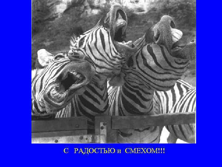 С РАДОСТЬЮ и СМЕХОМ!!! 