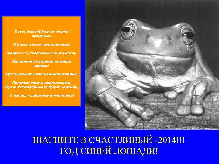 Пусть Новый Год не станет пресным, А будет ярким, интересным! Азартным, творческим и смелым,