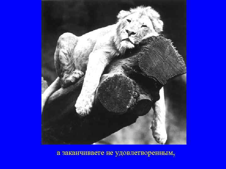 а заканчиваете не удовлетворенным, 