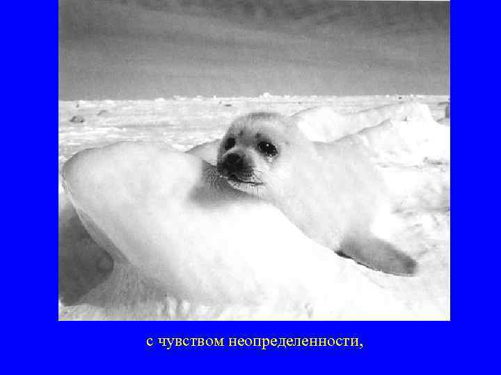 с чувством неопределенности, 