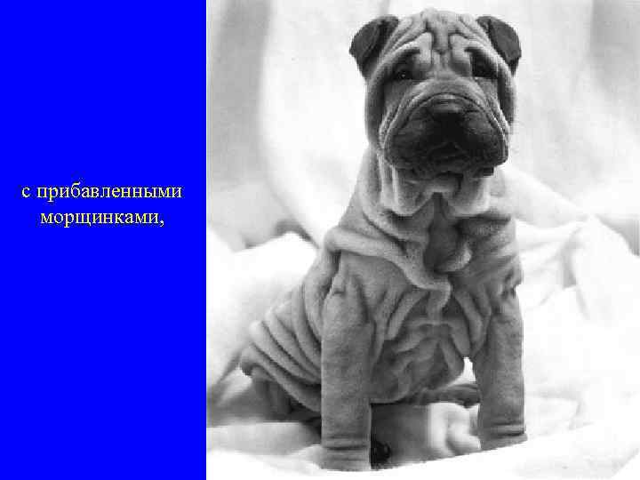 с прибавленными морщинками, 