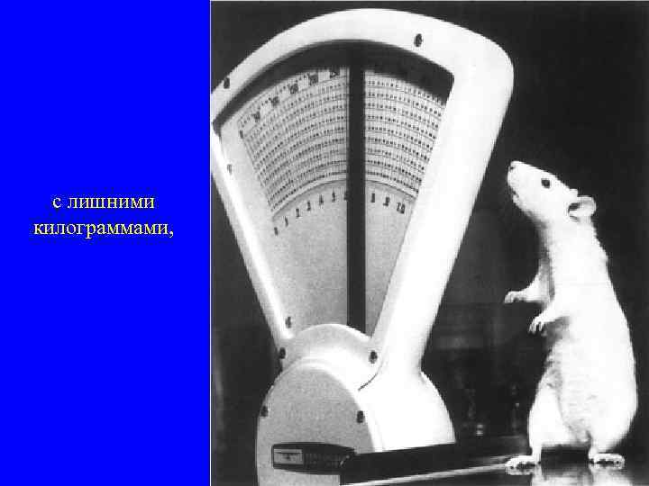 с лишними килограммами, 