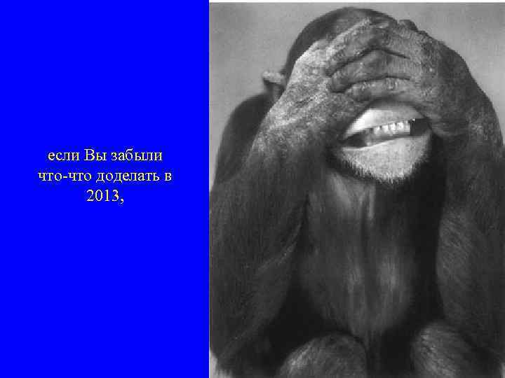 если Вы забыли что-что доделать в 2013, 