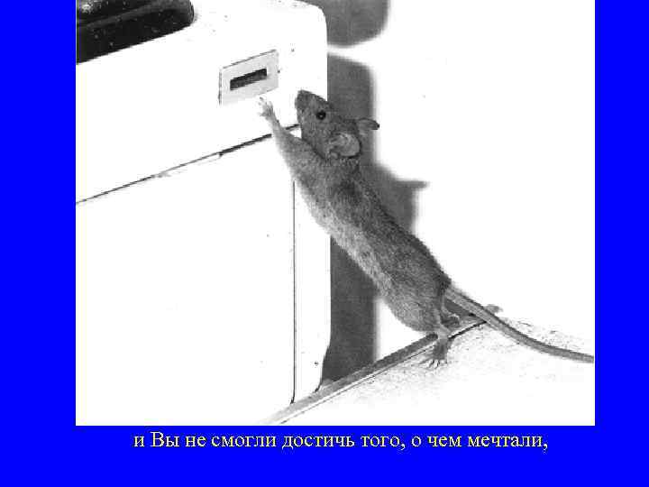 и Вы не смогли достичь того, о чем мечтали, 