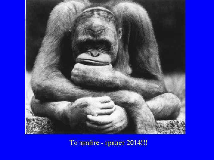 То знайте - грядет 2014!!! 