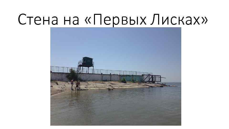 Стена на «Первых Лисках» 