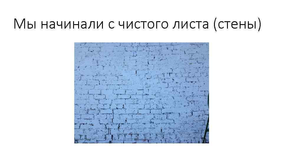 Мы начинали с чистого листа (стены) 