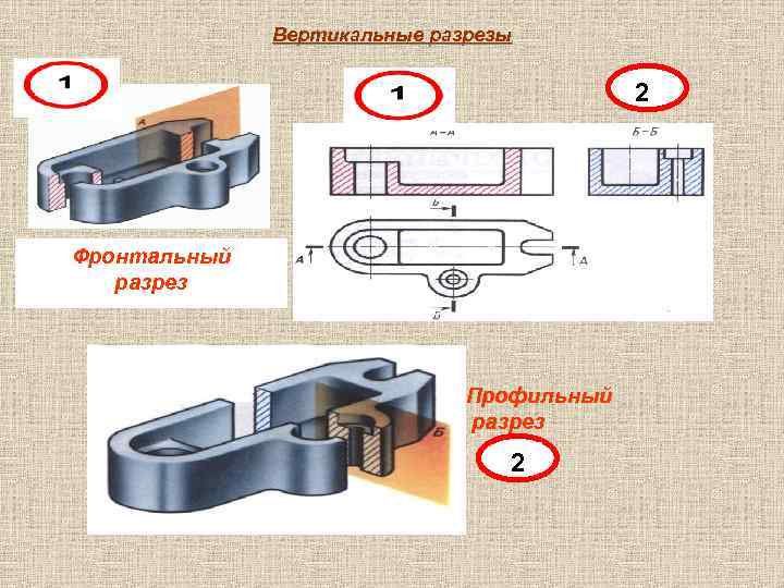 Вертикальные разрезы 2 Фронтальный разрез Профильный разрез 2 
