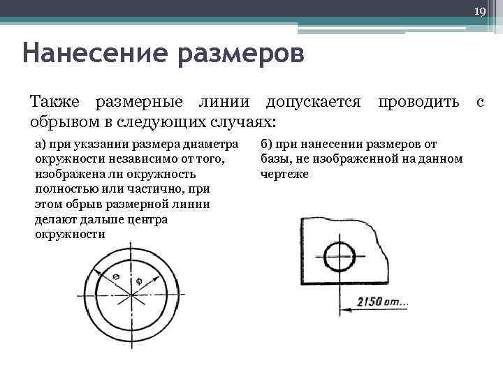 19 Нанесение размеров Также размерные линии допускается проводить с обрывом в следующих случаях: а)