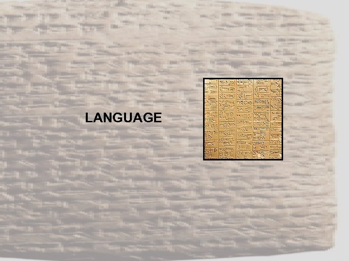 LANGUAGE 