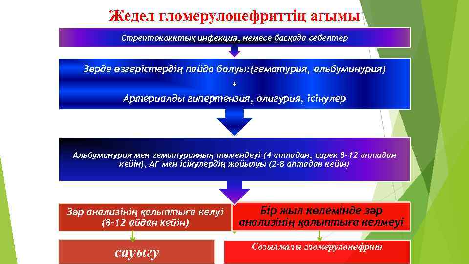 Жедел гломерулонефриттің ағымы Стрептококктық инфекция, немесе басқада себептер Зәрде өзгерістердің пайда болуы: (гематурия, альбуминурия)