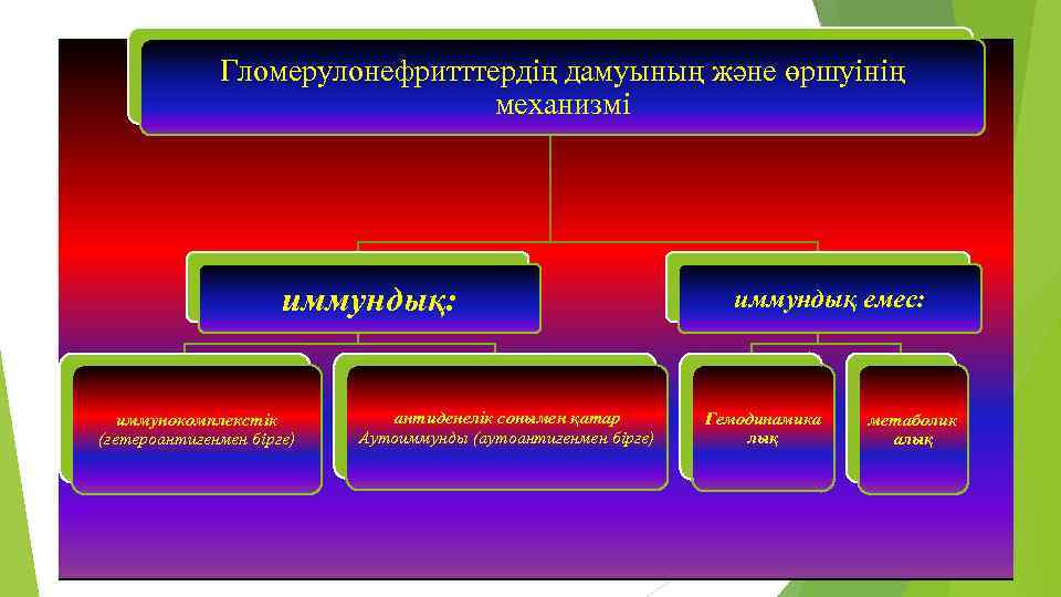 Гломерулонефритттердің дамуының және өршуінің механизмі иммундық емес: иммундық: иммунокомплекстік (гетероантигенмен бірге) антиденелік сонымен қатар