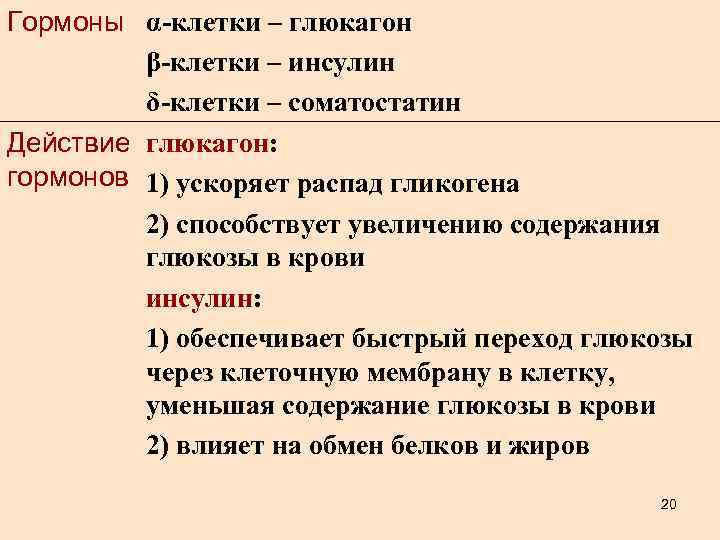 Гормоны α-клетки – глюкагон β-клетки – инсулин δ-клетки – соматостатин Действие глюкагон: гормонов 1)