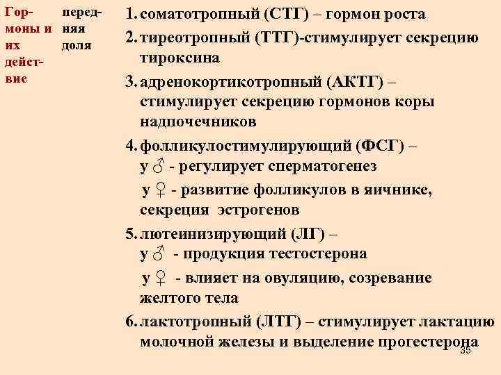 Горпередмоны и няя их доля действие 1. соматотропный (СТГ) – гормон роста 2. тиреотропный