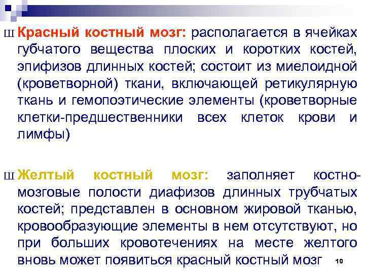 Ш Красный костный мозг: располагается в ячейках губчатого вещества плоских и коротких костей, эпифизов