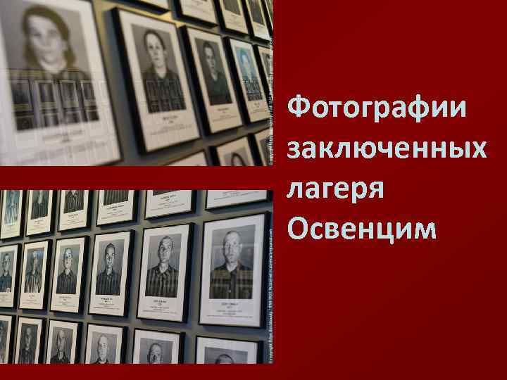 Фотографии заключенных лагеря Освенцим 