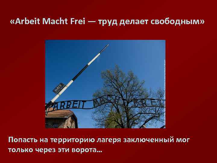  «Arbeit Macht Frei — труд делает свободным» Попасть на территорию лагеря заключенный мог